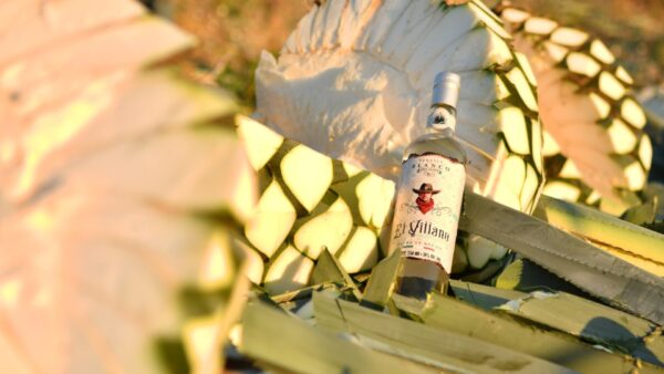 Tequila El Villano - BLANCO 38% Alc.Vol. - Imagen 3