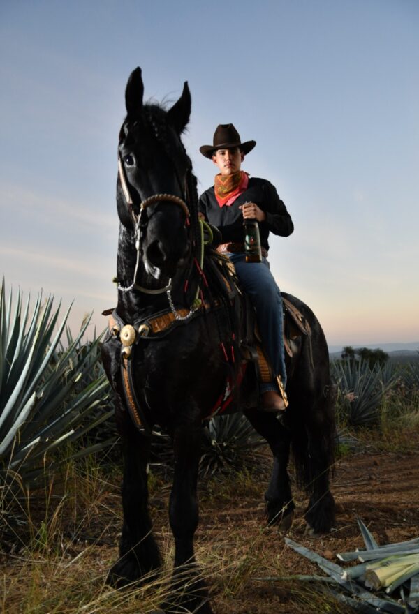 Tequila El Villano - BLANCO 38% Alc.Vol. - Imagen 4