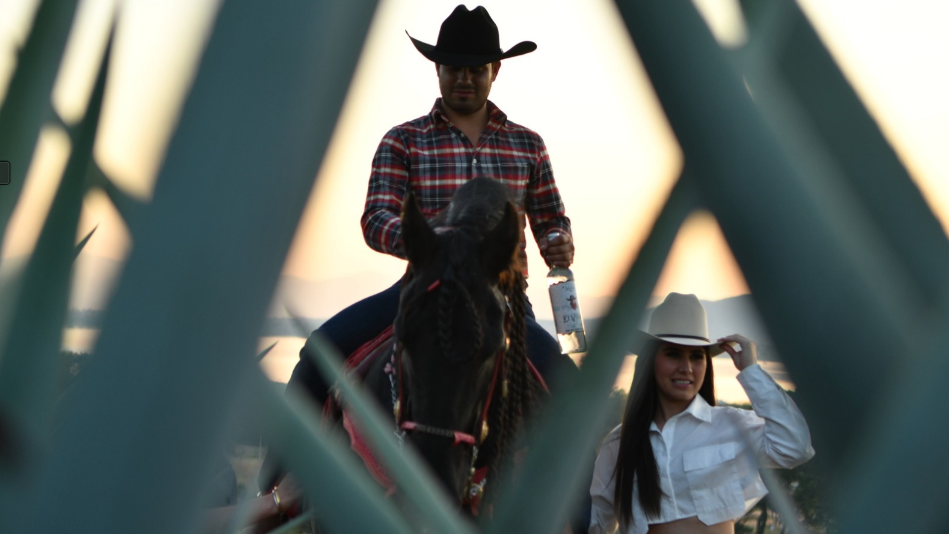 El-Villano-Tequila.jpg